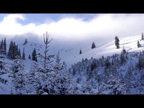 Stana de la Izvorul Vidrutei