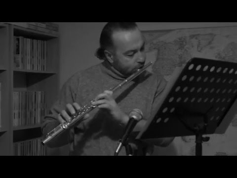 When Johnny Comes Marching Home by Flute