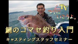 コマセ真鯛釣り入門！初心者～中級者向けに釣り方をレクチャー