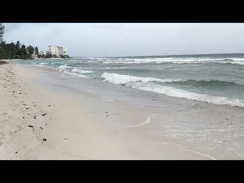 Videos del Sugar Bay Barbados 4★ en Bridgetown, BarbadosVer MásVerPrecios18CerrarConsulta por Whatsapp 🇦🇷BookingTripadvisorExpediaAgodaTravelocityOrbitzPricelineTripSkyscannerDespegarKayakHotelesBestdayDestiniaTrivagoLastminuteTuiWotif