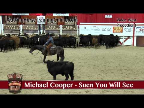 2014 NCHA Futurity Open Final Lineup Set 2