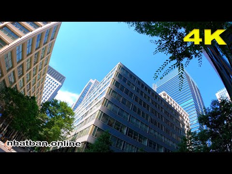 Walking tour in the streets of Tokyo mid Summer  #4k #japan #tokyo | Explore Japan