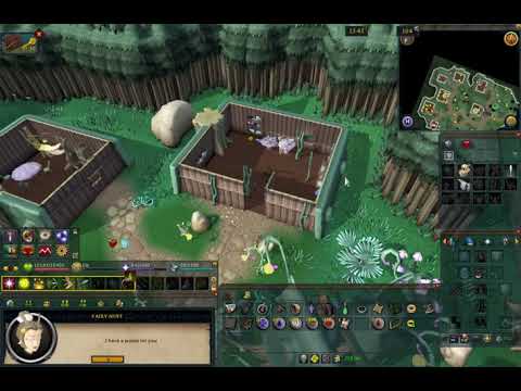 I FAFFY RUN Anagram Clue Scroll Runescape