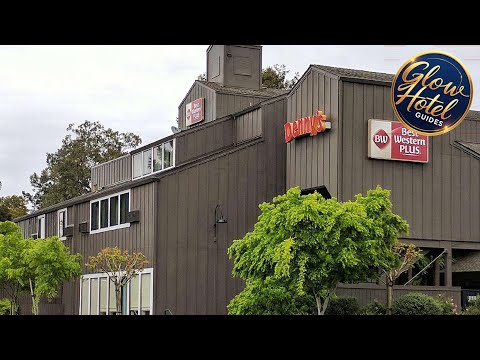 Best Western Plus Inn at the Vines | Napa (CA), United States | Hotel Review 🌟