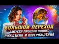 Большой ПЕРЕХОД Запусти Процесс нового Рождения и Перерождения