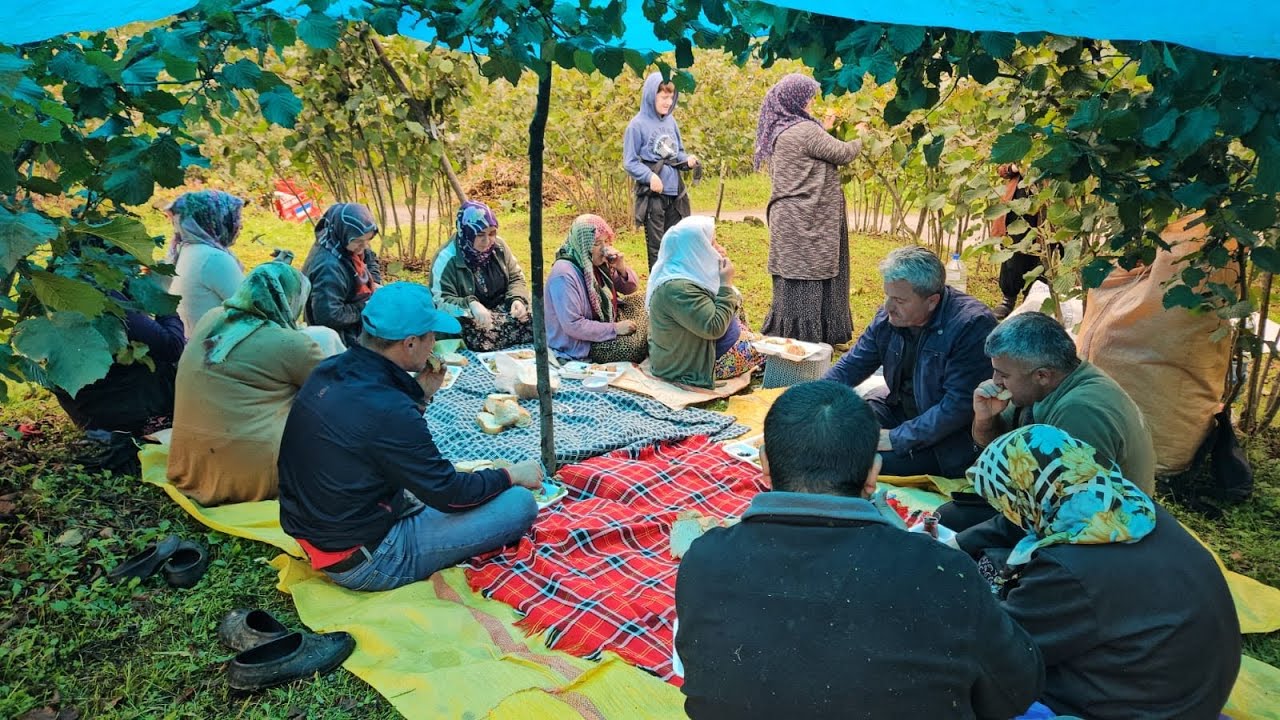 🌰 FINDIK TOPLAMA ZAMANI‼️AMELELİK, PARA SAYMA VE KUŞLUK YEMEĞİ 😄🌰