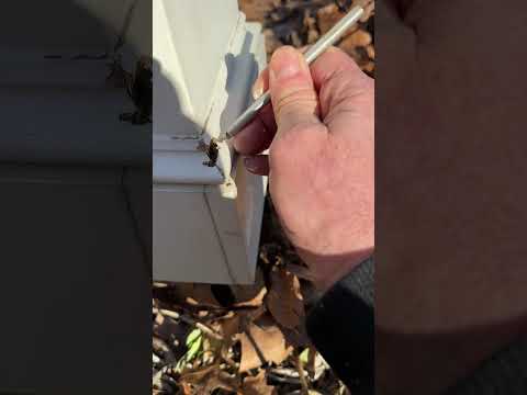 This is why I like Azek or PVC for Outdoor Projects