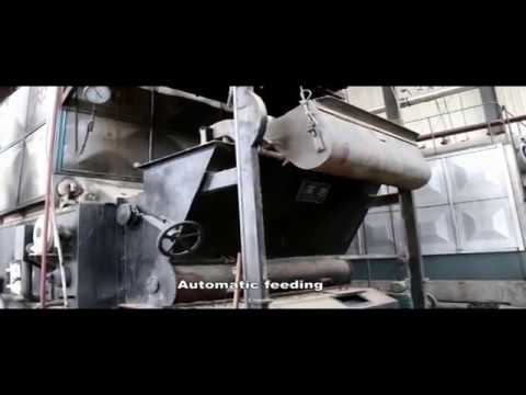1.25Mpa 6 ton DZL Solid Biomass Fuel Steam Boiler