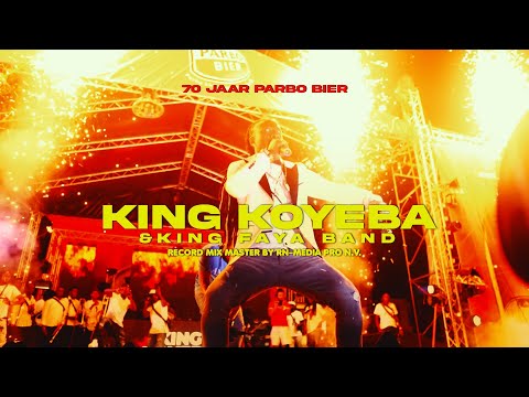 🆁🅽-Media Pro N.V. and Digital Vincent Studio