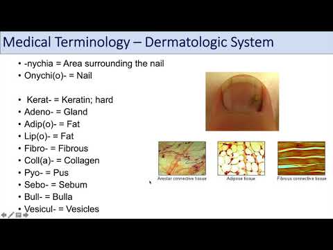 Medical Terminology | Lesson 10 | Skin and Skin...