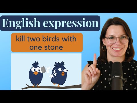 English Expression: KILL TWO BIRDS WITH ONE STONE