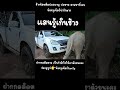 อาการ