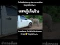 อาการ