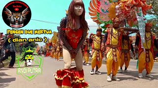 Download lagu ANDI PUTRA ONE | PENGEN DUE MERTU - ARAK ARAKAN SINGA DANGDUT mp3 Download lagu ANDI PUTRA ONE | PENGEN DUE MERTU - ARAK ARAKAN SINGA DANGDUT mp3