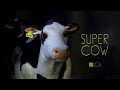 Super Cow