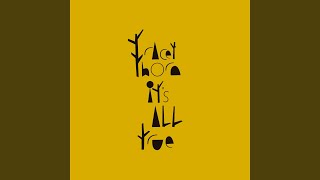 It&#39;s All True (Radio Edit)