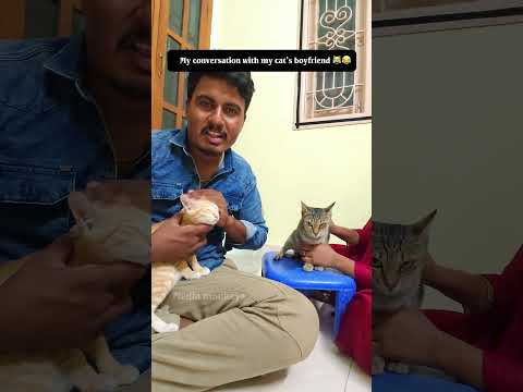 En poonai oda boyfriend kitta naan 😂||Media monkeys #comedyshorts #comedy #funny #cat #trending