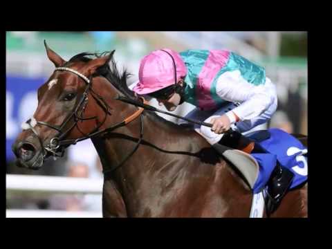 Juddmonte stars for 2014