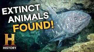 Scientists Stunned by Extinct Creature Discovery (Season 4) | Mysteries Unearthed with Danny Trejo