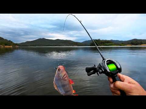 BFS Fishing At Lake Buffalo