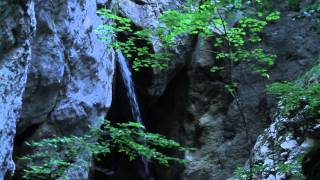 Picirruket - Ndjekja Drejt Shpelles