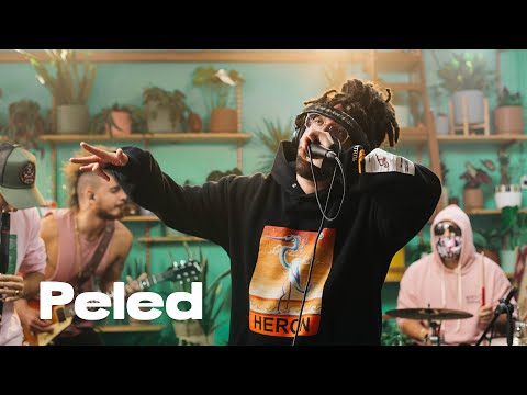 Peled 🌵 Succulent Sessions