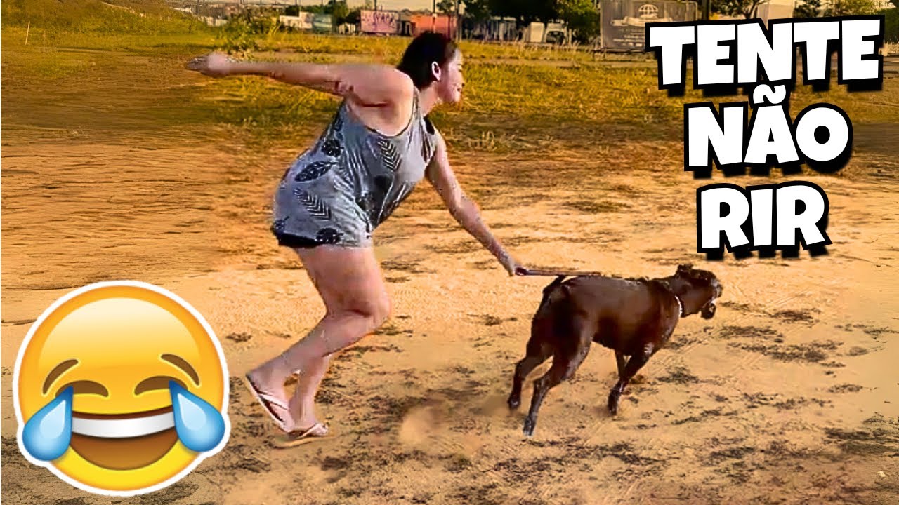 TENTE NÃO RIR: VÍDEOS ENGRAÇADOS 2025 E MEMES - #46