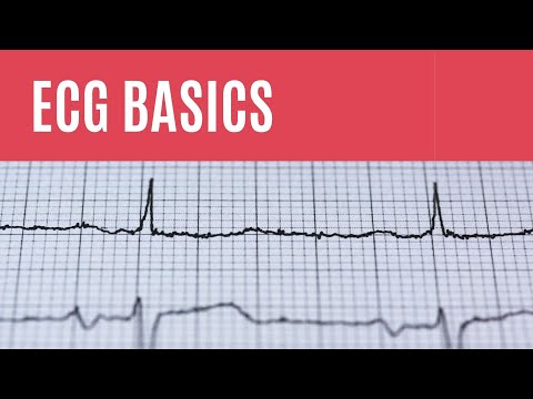 ECG basics 1: Which part of the heart do the 12 leads look at?