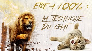 MOTIVATION : LA TECHNIQUE DU CHAT