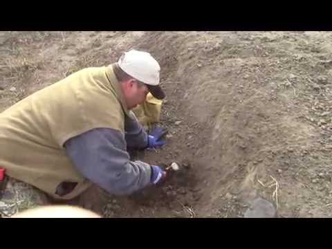 TRAPPERS TV-BASIC COYOTE TRAPPING SETS