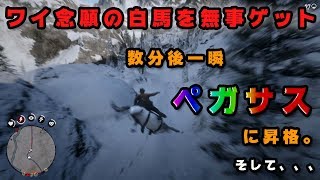 【RDR2】ワイ念願の白いウッマをゲット。その後飛ばす。【白馬】