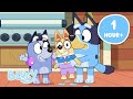 LIVE Bluey Festive Full Episodes 1HOUR Bluey
