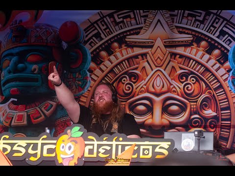 PSYcodélicos - Transient Disorder (2025) | FULL SET