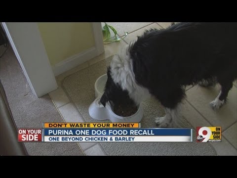 download lagu mp3 mp4 Purina Pet Food Recall, download lagu Purina Pet Food Recall gratis, unduh video klip Purina Pet Food Recall