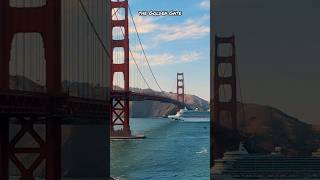 Do cruise ships fit under the Golden Gate bridge?! #cruise #cruising #ships