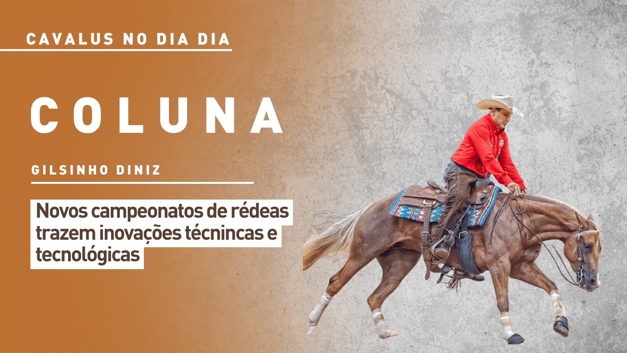 Cavalus no Dia Dia: novos campeonatos de rédeas trazem inovações técnicas e tecnológicas