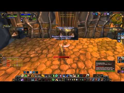 Feral Druid & Sub Rogue 2vs2 WOTLK 3.3.5