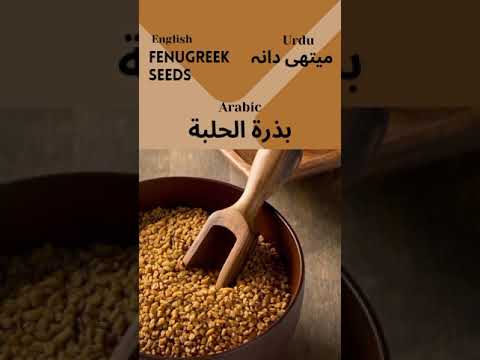 Fenugreek Seeds/میتھی دانہ💫Arabic Vocabulary🥰Learn a New Word Daily💪#arabicvocabulary#arabicshorts