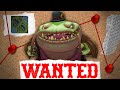 Least Unhinged Tahm Kench Player | No Arm Whatley