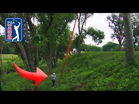 Craziest Shots of the 2025 Season