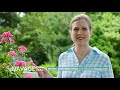 2019 Navage Allergies 30 Sec Commercial Naväge Nasal Care Flushes Allergens Mucus Dust And Germs