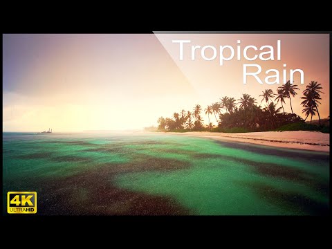 4K Tropical Rain & Relaxing Ocean Waves Sounds. Nature Video for relaxation, stress, study, sleep.