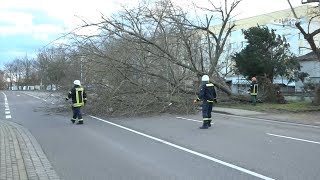 Storm laag Friederike: Hoe de brandweer van Weißenfels het gebruik van de stormschade in het district Burgenland coördineert - Een interview met de plaatselijke brandweercommandant Steve Homberg
