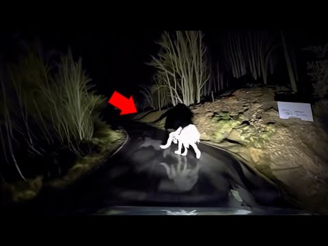 10 GRUSELIGE GEISTERVIDEOS Die Echt Angst Machen IV