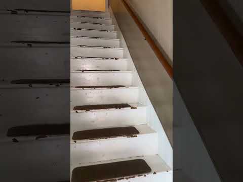 212-214 East Logan Street - Video 2 of 2