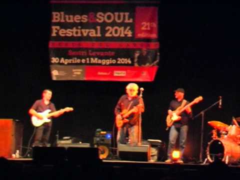 Bob Margolin Band - Lost Again