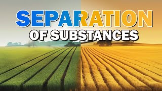 Class 6 | Separation of Substances | CBSE Board | Science | Home Revise