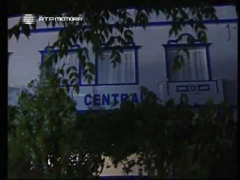 Wild Rose Bush - Episode 55