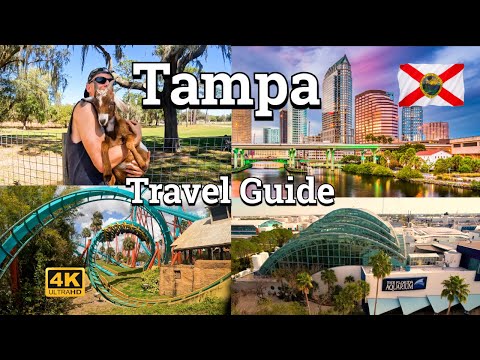 Tampa Travel Guide | Busch Gardens, Zoo, Aquarium, Riverwalk, and Goats