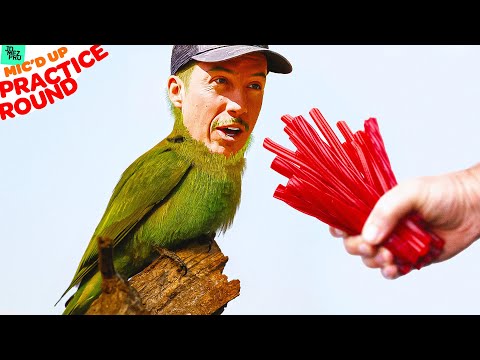 Paul Ulibirdie Hates Twizzlers | Waco Annual Charity Open Part 2 | Mic'd Up Practice Round
